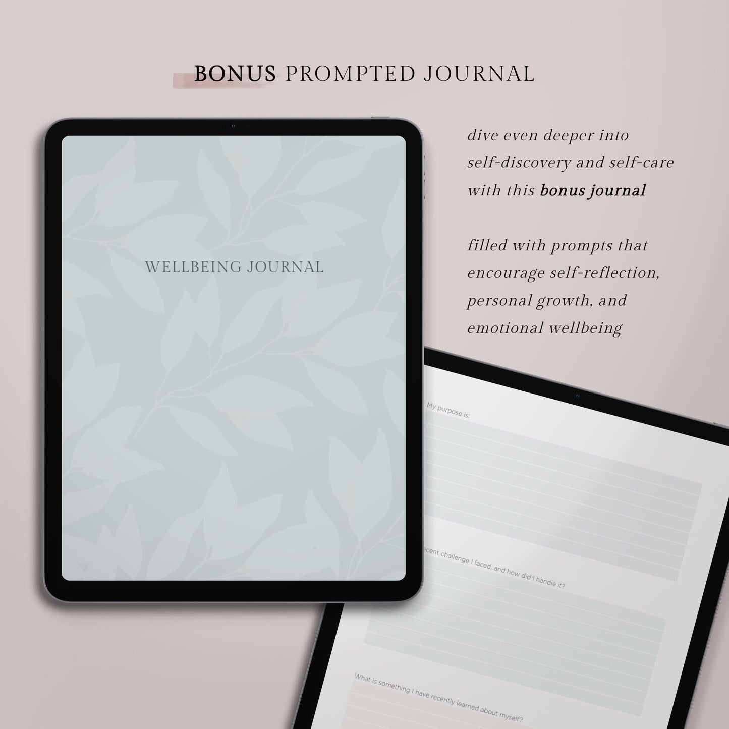 Digital Wellness Journal – Bloomfully Paperie